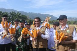 mentan-optimis-indonesia-bisa-kembali-ekspor-jagung,-ini-sebabnya-–-antara-news-aceh